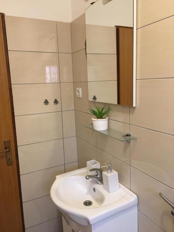 ביוגראד נה מורו Apartmani Diana מראה חיצוני תמונה